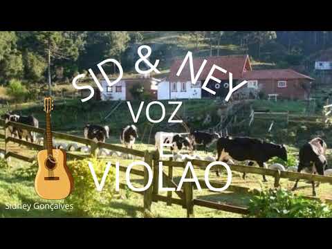 Seu Amor - Banda Sinal Vermelho