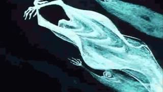 Bauhaus , Exquisite Corpse  =;-)