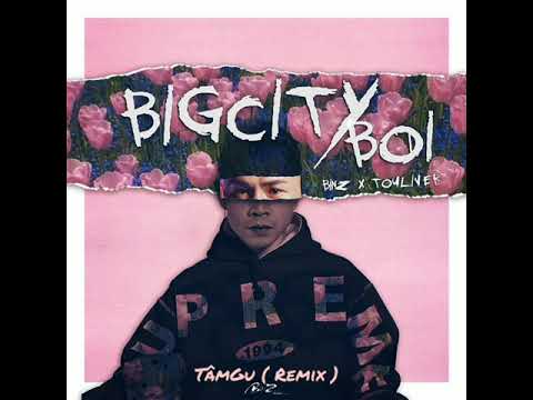 Binz x Touliver - Bigcityboi x TâmGu ( Remix )