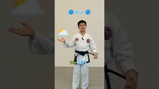 Download lagu Taekwondo Belt Colours Explained 🥋 mp3 Download lagu Taekwondo Belt Colours Explained 🥋 mp3