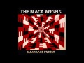 The Black Angels - The Executioner 