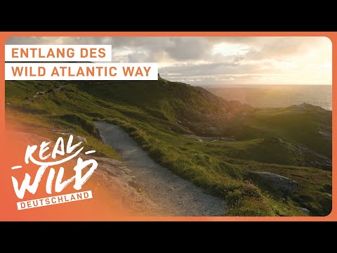 Wanderreiten durch Irland: Ein Abenteuer entlang der Küste | Doku