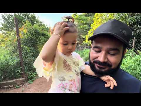🍈 First guava harvested and eaten on the farm… true flavor 🤍🌾