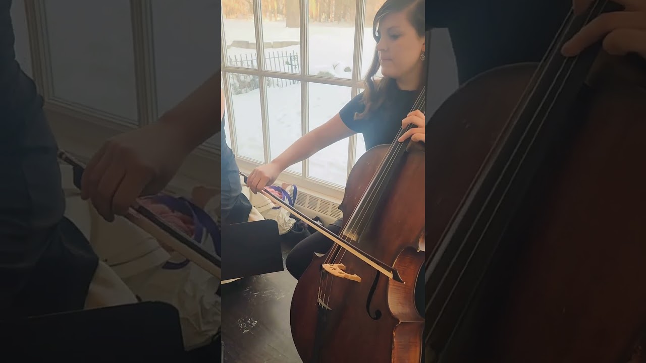 Promotional video thumbnail 2 for The Soenen Sisters - Harp Flute and Cello