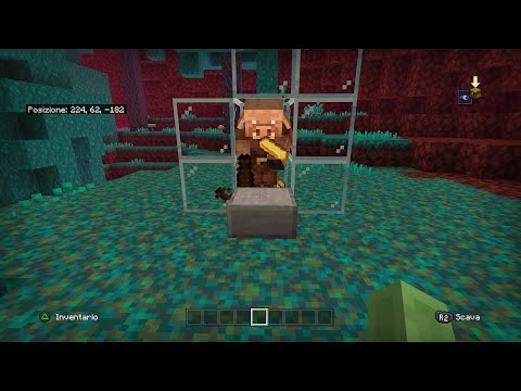 COME SCAMBIARE CON I PIGLIN PIÚ VELOCEMENTE