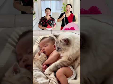 baby playing with cat 😂 아기 챙기는 고양이 엄마의 사랑 😂💖💜