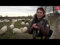 Celtic Fields | ROEG! 18 januari 2020