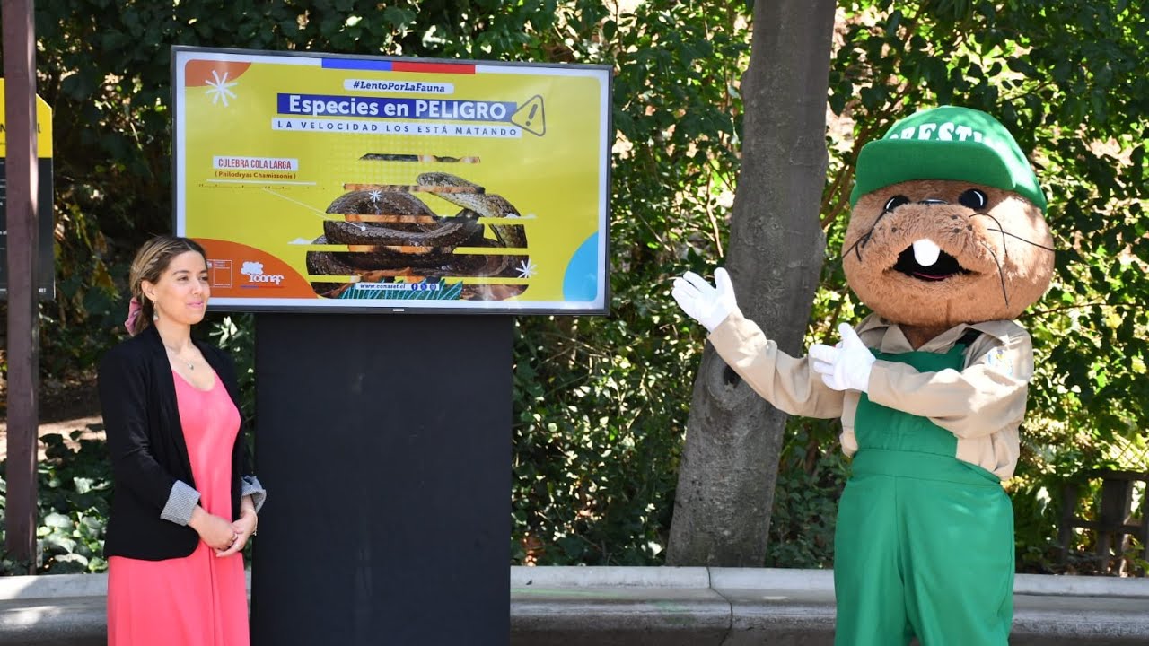Reforzamos la campaña #LentoPorLaFauna