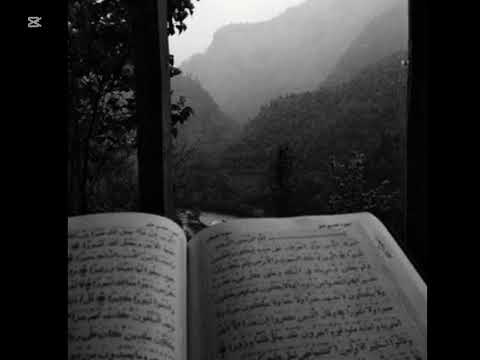 Heart relaxing recitation from Muhammad Al-Luhaidan for sleeping with rain in backround