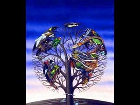 Talk Talk - NEW GRASS - 1991
