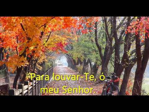 CCB Hino 393 - Ó meu Jesus, meu caro Jesus (Cantado e Legendado) Hinário 5