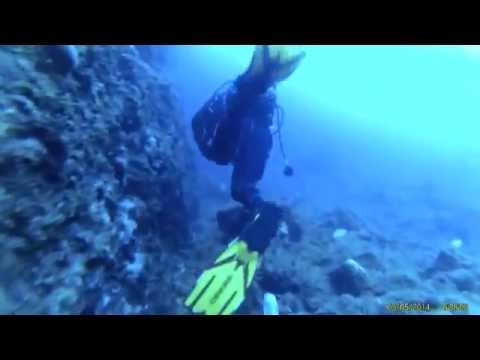 dive Dubrovnik 2015