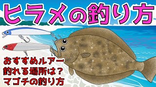 【ルアーでヒラメを釣る方法】マゴチが釣れたら釣り方が違うかも⁉