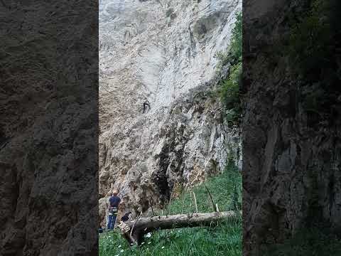 Bolg, 7c-8a, Prapastiile Zarnestiului