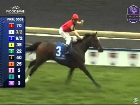 2014 Canadian Stakes - Deceptive Vision