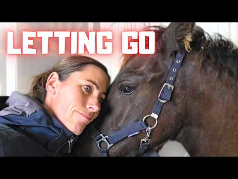Now It’s Real. The Foal Is Being Sold | Teaching Rising Star⭐ to Steer | Friesian Horses