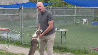 Tim Misny introduces some adorable and adoptable pups at City Dogs Cleveland | Clear the Shelters