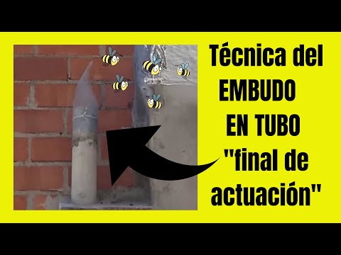 , title : 'COMO es la Técnica del EMBUDO en TUBO "final de actuación"'