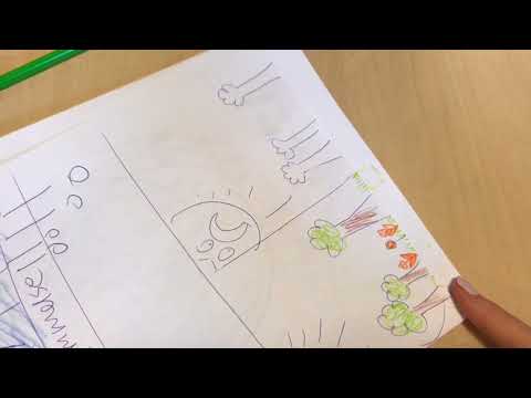 Global opvarmning Lillevang skole