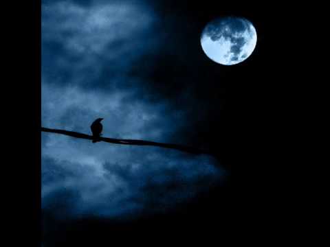 Flyge - Apea kuu ( Glum Moon )