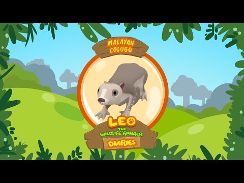 Witness21  2019 10 19