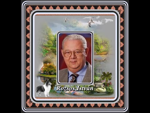 Rozsos István : Nem tagadtam sohasem (Szombat este pénzt teszek a zsebembe)