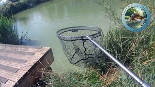 Подсачек телескопический snowbee stillwater river landing nets