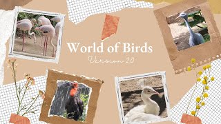 World of Birds 🤩🤩🤩