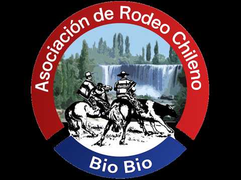 Serie de Campeones - Asoc Bio Bio - Club de Rodeo Quilleco - Medialuna Templo del Huaso