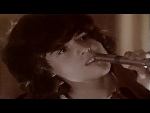 Donny Osmond / Puppy Love /