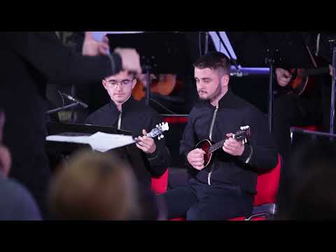 Golden Strings Orchestra - Vrtuljak