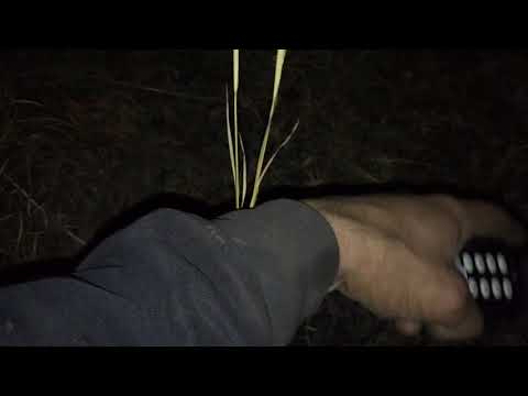 Handmade 5” insert cylinder shell - 1st attempt