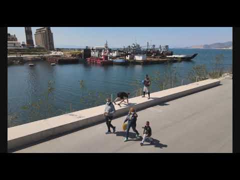 Summer Body Project By George Lazar