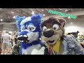 wolf vlogs ac2019 day 2