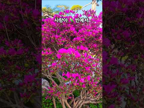 #사랑아#빈예서#신작뮤비 #빈예서#쫌쫌#대박#예감