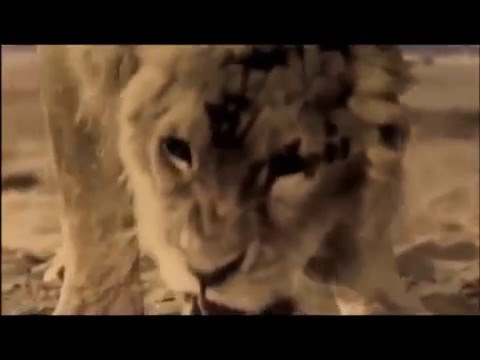 Hercules Vs The Nemean Lion (Hercules Parody Movie Trailer)