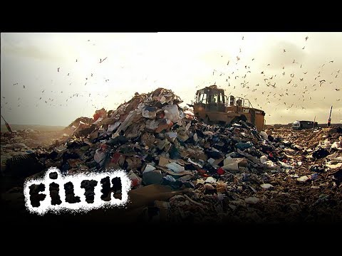 Where Does The Rubbish Go?