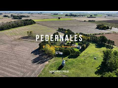 Pedernales, 25 de Mayo, Buenos Aires   57 ha