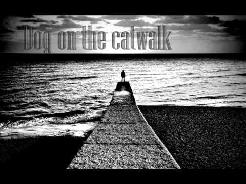 Dog on the Catwalk - Dog on the catwalk - Raise your chance