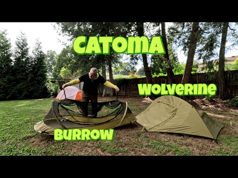 A look at the Catoma EBNS