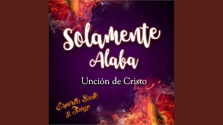 Esta Fiesta No Puede Parar