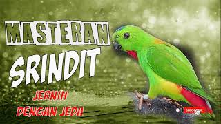 Download lagu SRINDIT MASTERAN TOP DENGAN JEDA // 1 JAM mp3
