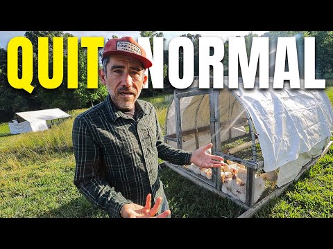 They Quit Normal to Homestead - 10 Years Later