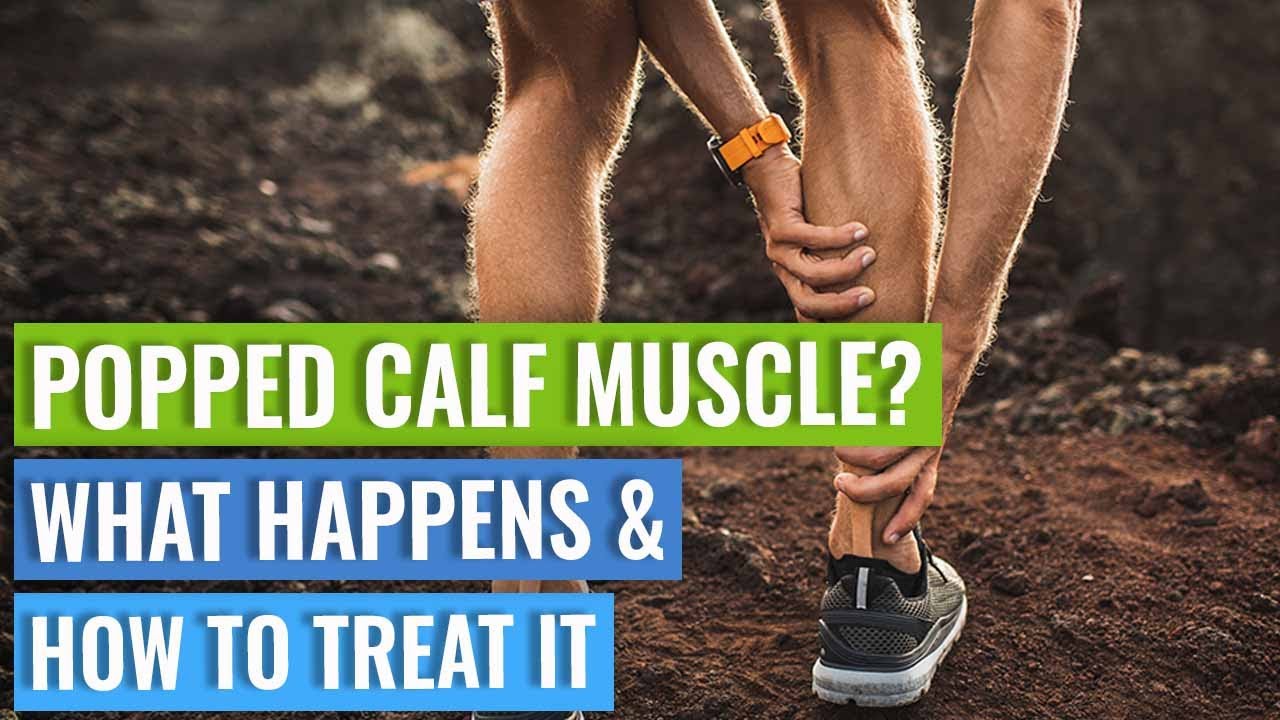 What are the 4 symptoms of a pulled calf muscle? More REF