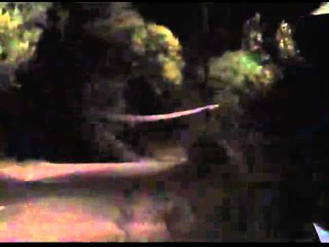 Top Tre 4º RALLY ELBA RONDE 2010