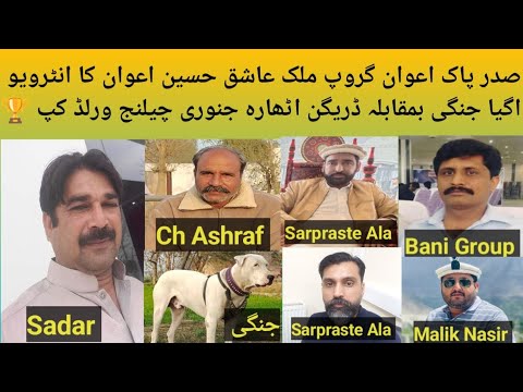 Top Class Pakistani Bully Breed,Dog Name:Jangi,Owner:Malik Ashiq Pak awan Group