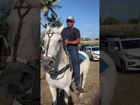 Cavalhada do amigo Léo de Glória do Goita. 05/09/2026 #cavalhada #nordeste #viral 