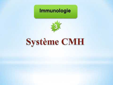 Immunologie 3 / Complexe Majeur d'histocompatibilité.🐾🦇🐾