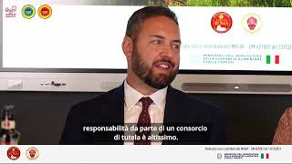 Olio di Roma IGP e Sabina DOP: l'olio extravergine d'oliva dal cuore antico - Parte 1