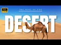 Dubai Desert In 4K ULTRA HD HDR 60FPS Dolby Vision Dubai Abu Dhabi S Majestic Landscapes